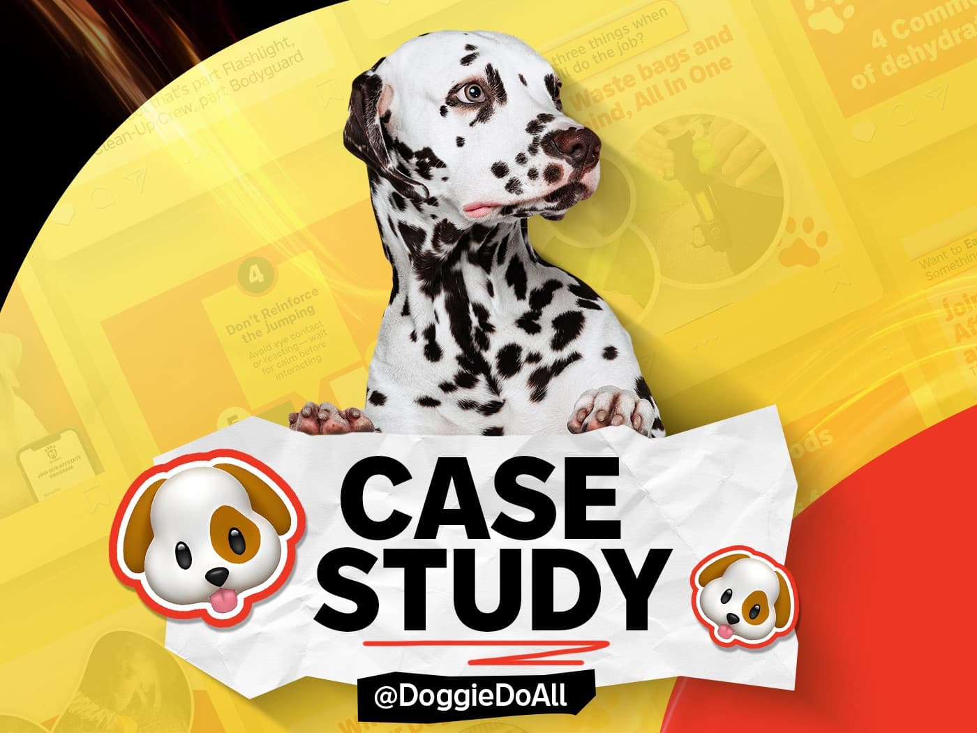 DoggieDoAll Success Story