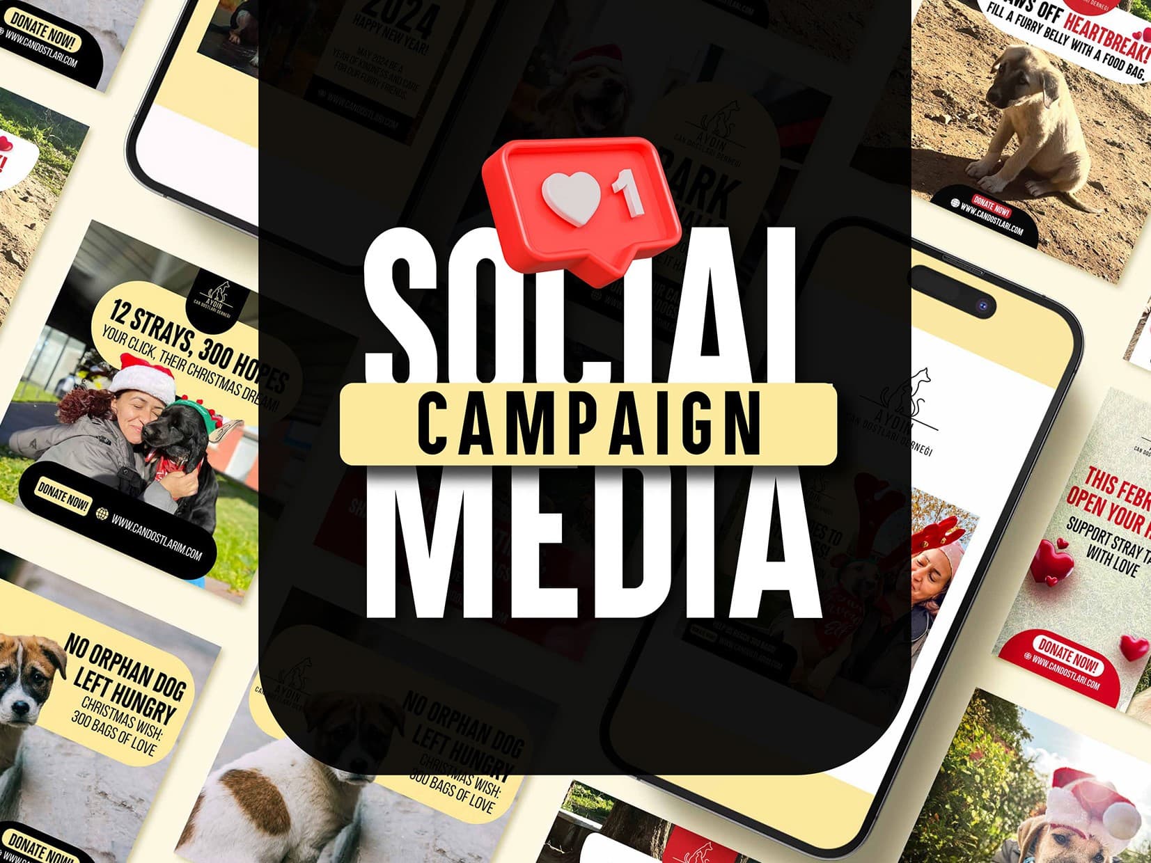 Can Dostlary’s Success Story